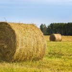 Фотодокумент 