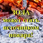 Фотодокумент 