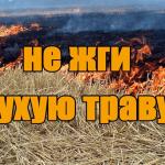 Фотодокумент 